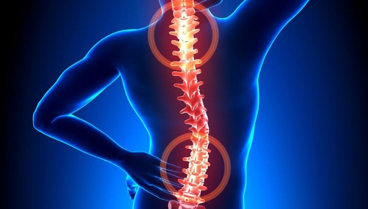 Đặc điểm của các đốt sống thắt lưng