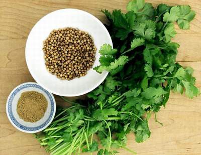 Cực tốt và cực độc, biết mà tránh khi ăn rau mùi kẻo rước ung thư vào người